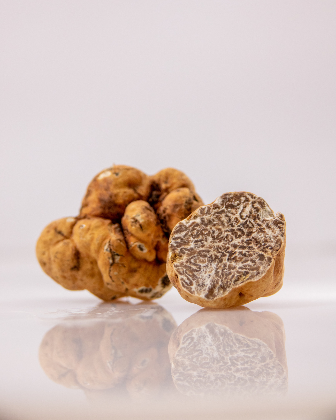 Bianchetto Truffle (Tuber Albidum Pico)