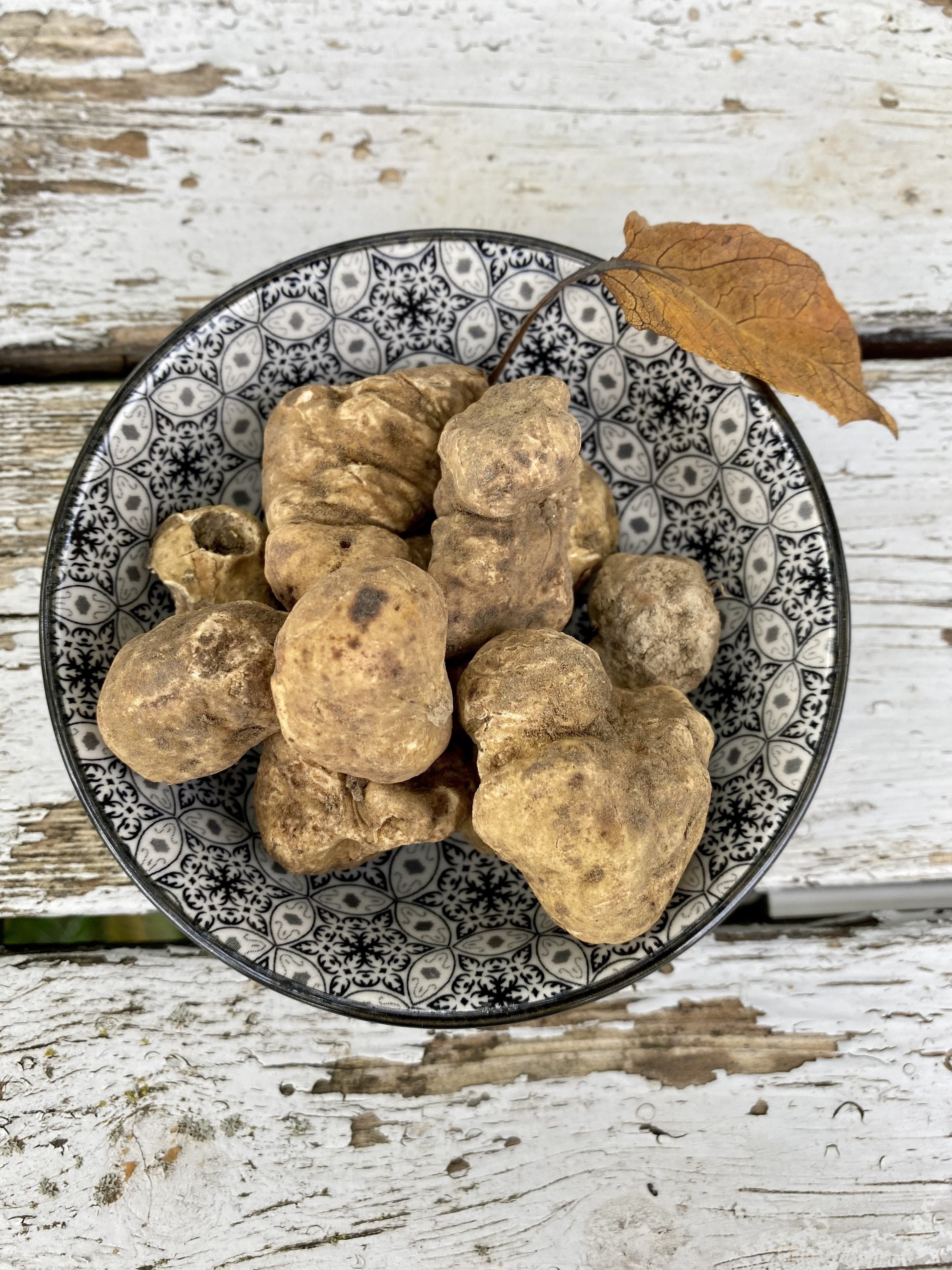 White Alba Truffle (Tuber Magnatum Pico) - Selva Tartufi