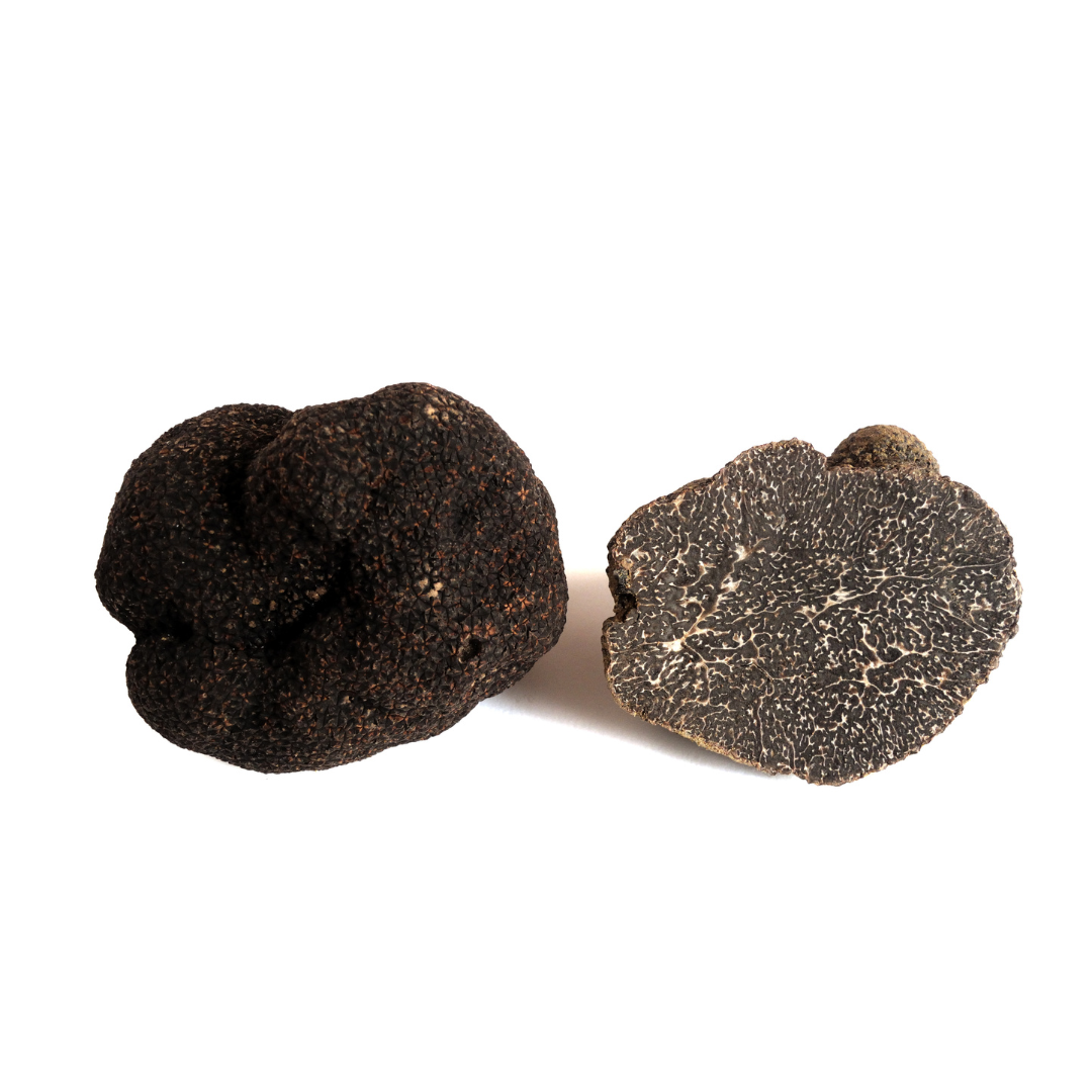 Black Perigord Truffle (Tuber Melanosporum Vitt)