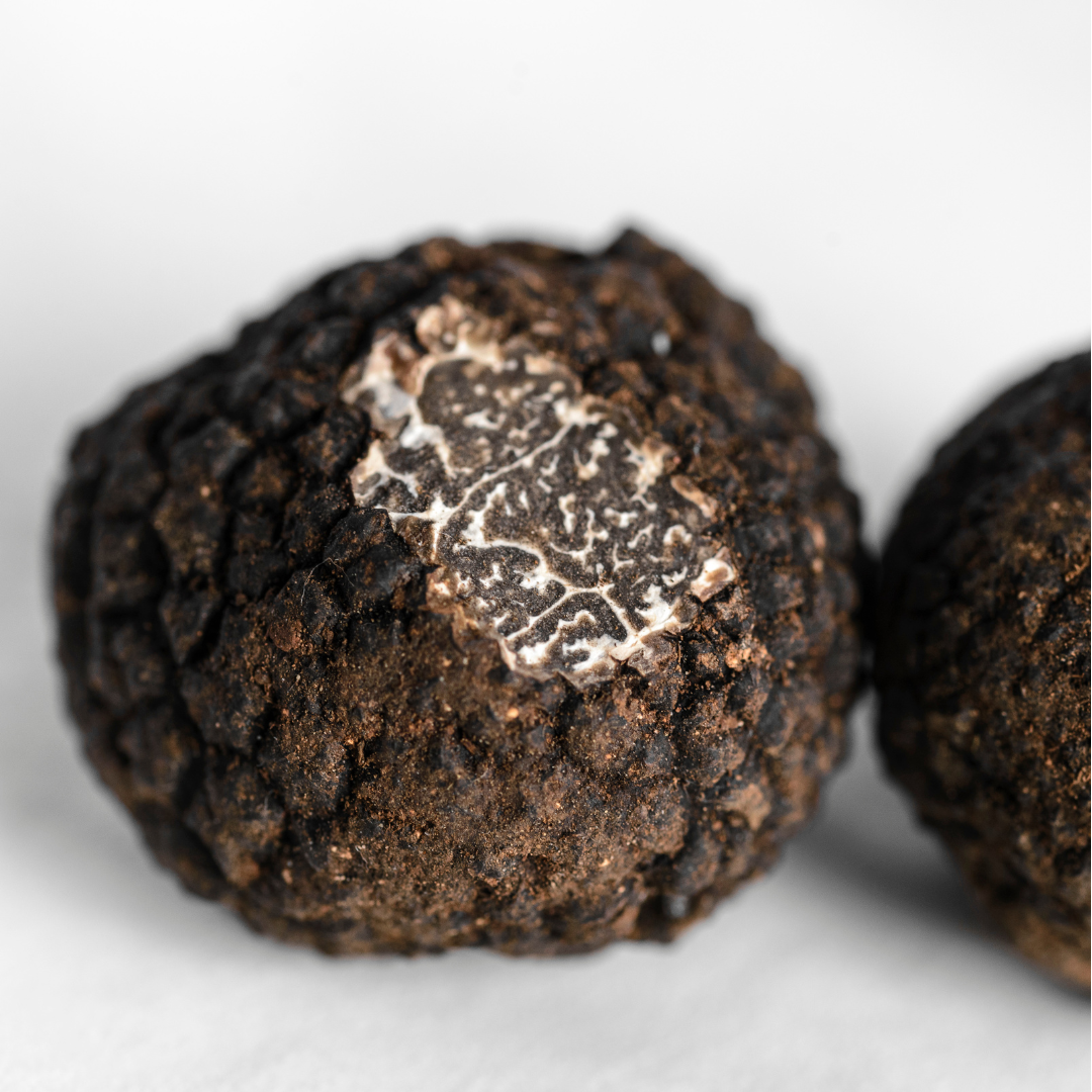 Tartufo Nero Perigord (Tuber Melanosporum Vitt) -BASSA STAGIONE- 