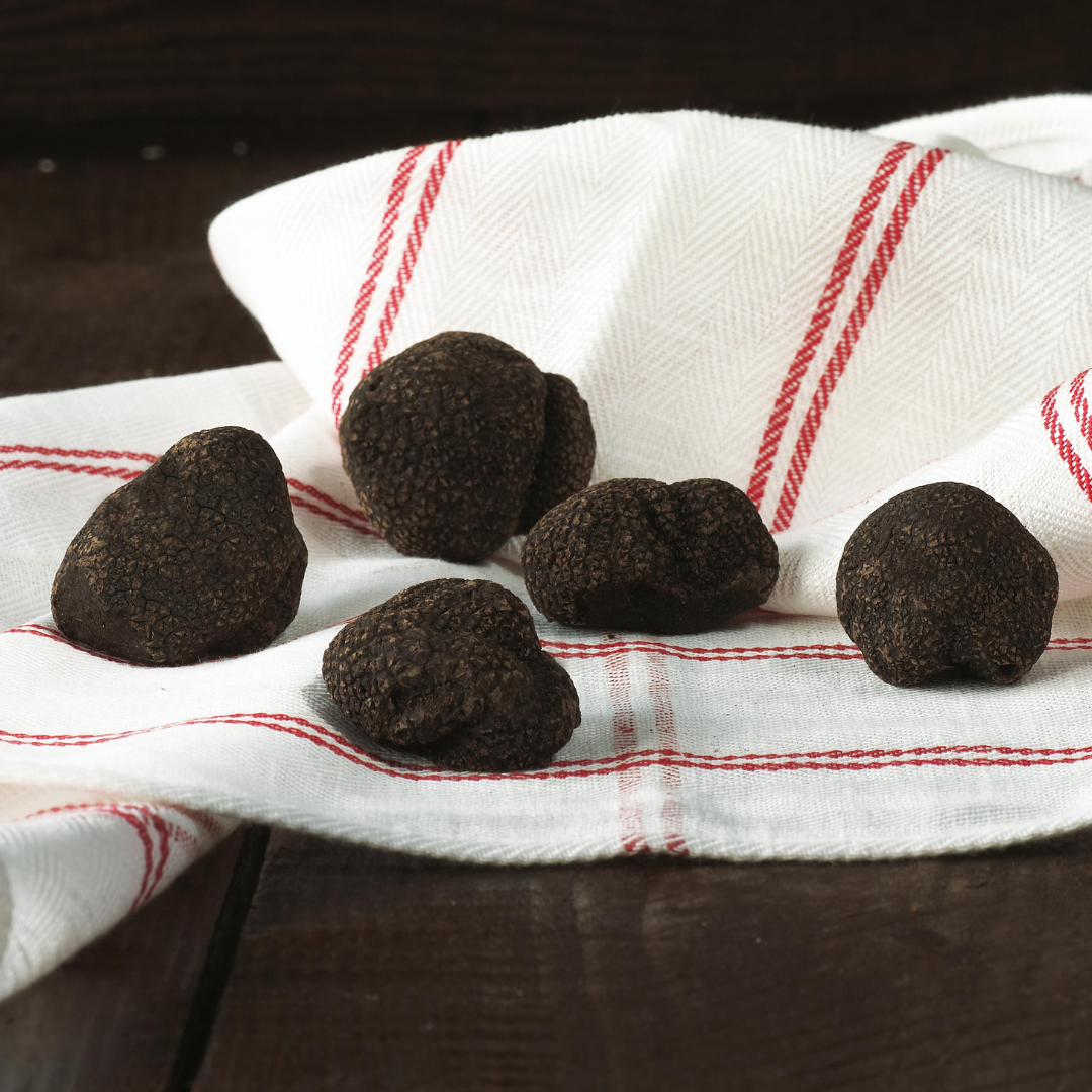 Black Perigord Truffle (Tuber Melanosporum Vitt)